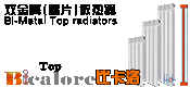 Bi-metal Top Radiator